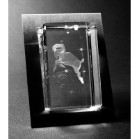 3D-Glasobjekt Widder