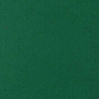 Wellkarton Farbe 06 grün - glatt