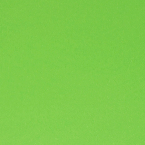 Wellkarton Farbe 10 hellgrün - glatt