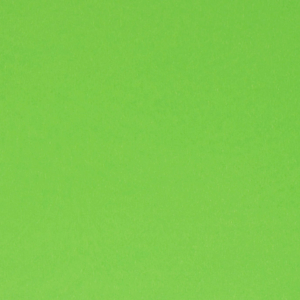 Wellkarton Farbe 10 hellgrün - glatt