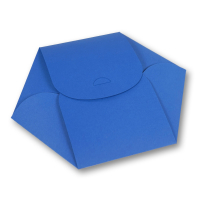 Kuchenschablone Spinne