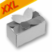 Falt-Geschenkverpackung 128 in Größe 09, 202 x 100 mm