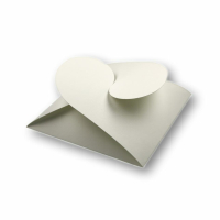 Falt-Geschenkverpackung 161 in Größe 02, 105 x 105 mm