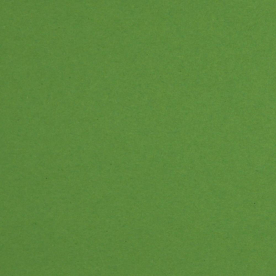 Karton Farbe 10 hellgrün