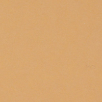 Karton Farbe 27 apricot
