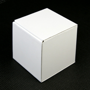 Klappdeckel-Verpackung UNI Nr. 03, 100 x 100 x 110 mm